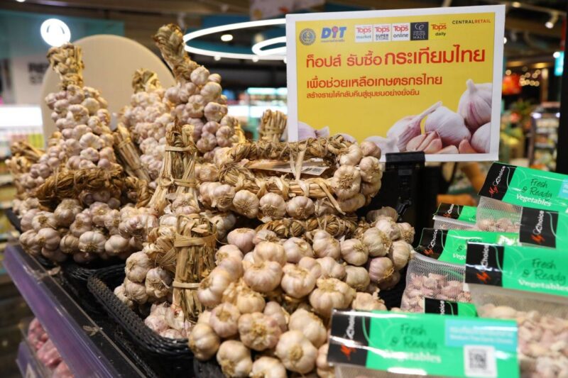 “ท็อปส์” จับมือ กรมการค้าภายใน รุกช่วยเกษตรกรผู้ปลูกกระเทียมภาคเหนือ เพิ่มปริมาณรับซื้อกระเทียมไทย 30 %