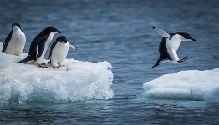 โลกเดือด! ทำ”น้ำแข็งแอนตาร์กติกา” ลดต่ำสุดเป็นประวัติการณ์