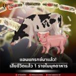 ‘แอนแทรกซ์’ เสียชีวิตแล้ว 1 รายในมุกดาหาร
