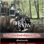 สิงโตทำร้ายเจ้าหน้าที่