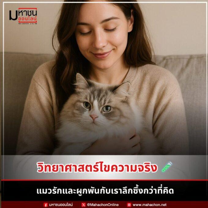 ความลับทาสแมว