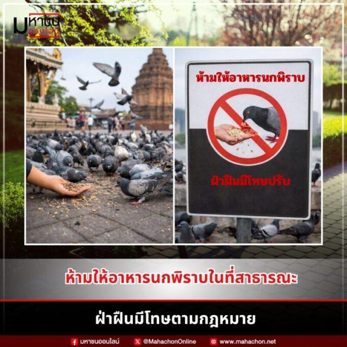 ห้ามให้อาหารนกพิราบในที่สาธารณะ